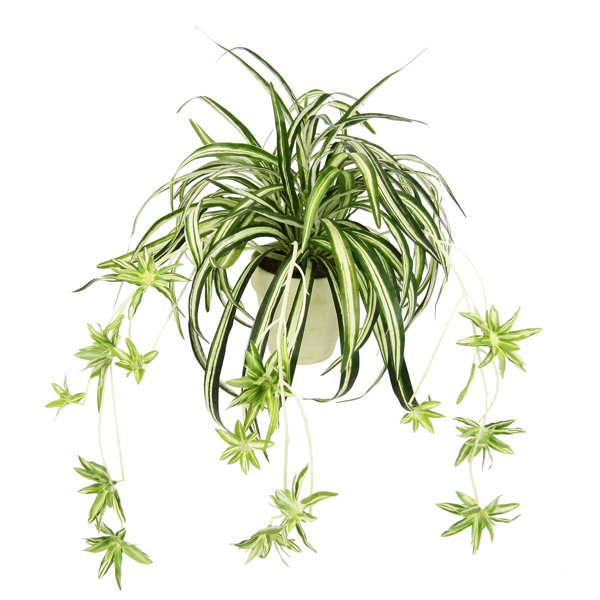 The Seasonal Aisle 36cm Faux Water Lily Plant in Terracotta Pot